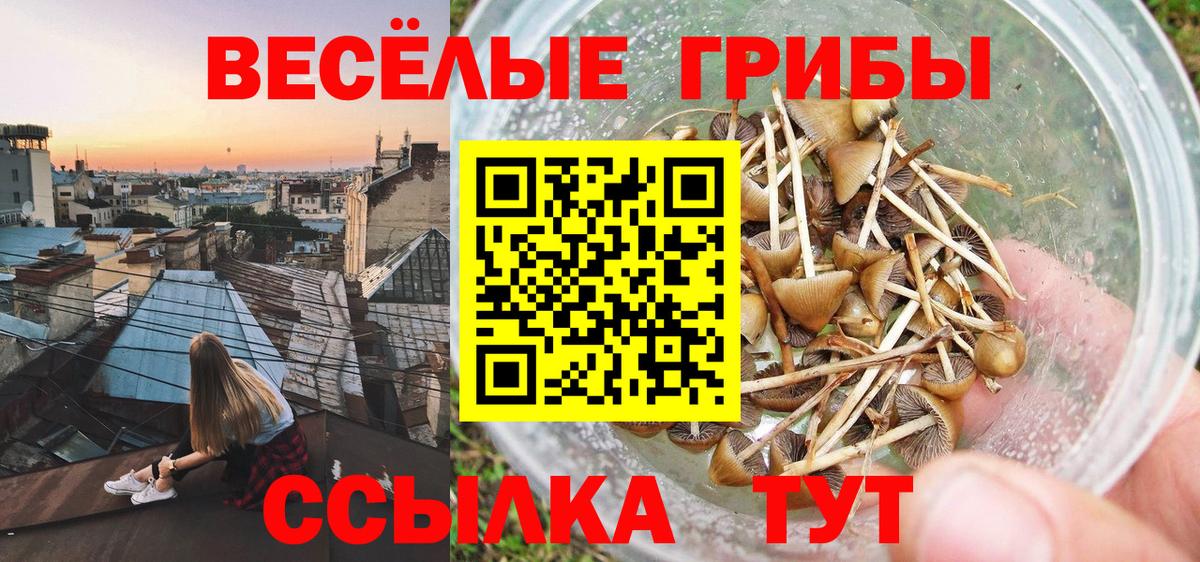 Галлюциногенные грибы мухоморы  Вход с VPN  Первоуральск 